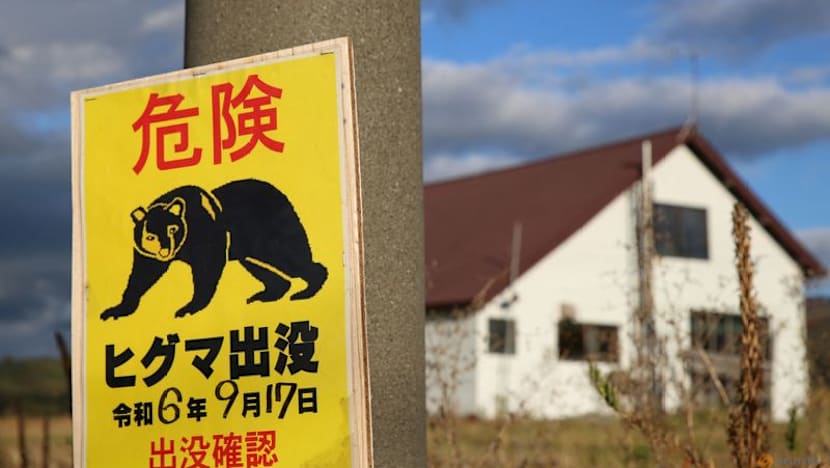 Bear goes on rampage in Japan, injuring four people