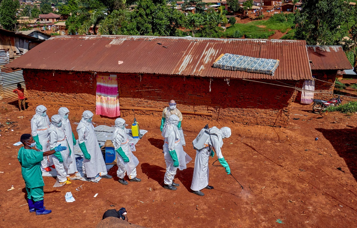 Ebola crisis shows that aid cuts have been ‘counterproductive,’ UK development minister admits