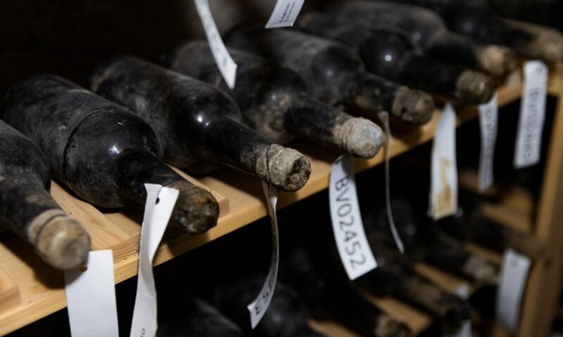 Secret wine stash, hidden by suspected Nazi sympathisers, unveiled after decades under castle floor