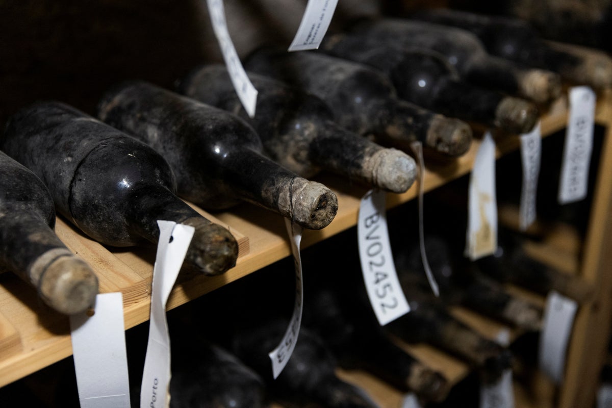 Secret wine stash, hidden by suspected Nazi sympathisers, unveiled after decades under castle floor