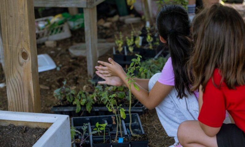 How Cherokee farming traditions are transforming one Texas school