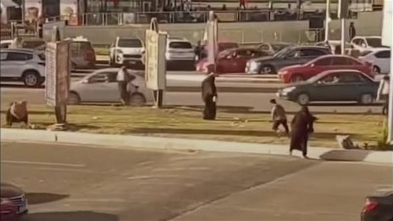 بسبب خلافات الجيرة، مشاجرة بالأسلحة البيضاء في الشرقية وضبط طرفي الواقعة