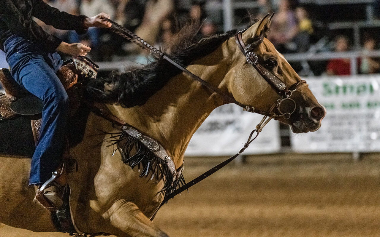 Teen horse competitor accused of hurting animals during Las Vegas event