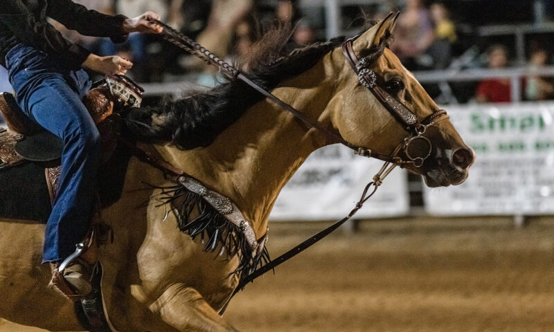 Teen horse competitor accused of hurting animals during Las Vegas event
