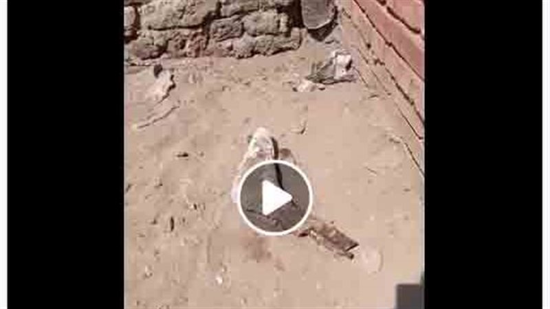 لغز العثور على قدم بشرية بجوار مقابر بالدقهلية.. الأمن يوضح الحقيقة