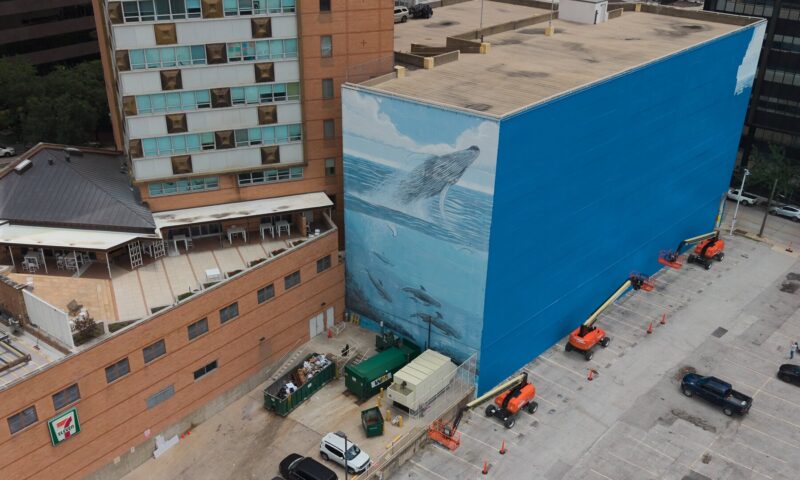 Dallas Whale Mural Artist Wyland Sues FIFA After World Cup Paint-Over