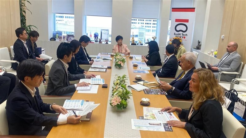 التضامن تطلع على تجربة الحضانات المنزلية اليابانية وتبحث نقل الخبرات إلى مصر