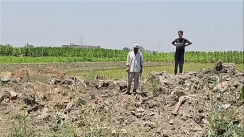 نائب محافظ القليوبية وجهاز شؤون البيئة يتابعان تطورات أزمة “تمساح شبين القناطر”