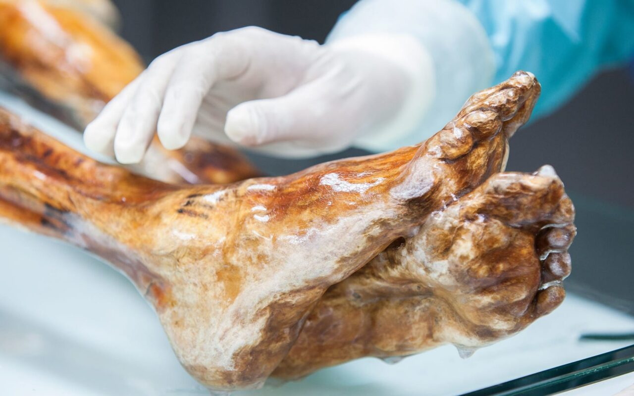 بعد أكثر من 5 آلاف عام.. ميكروبات أوتزي رجل الجليد تستعيد نشاطها؟