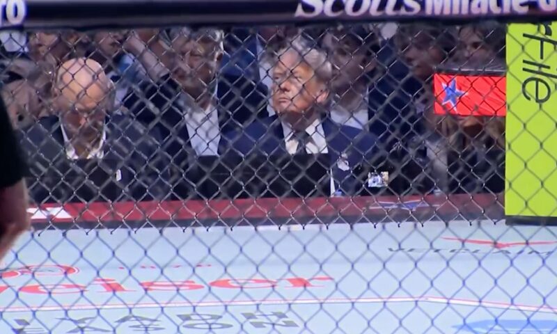 شاهد كيف تابع ترامب نزالات بطولة UFC من مقعده بجانب الحلبة بالبيت الأبيض