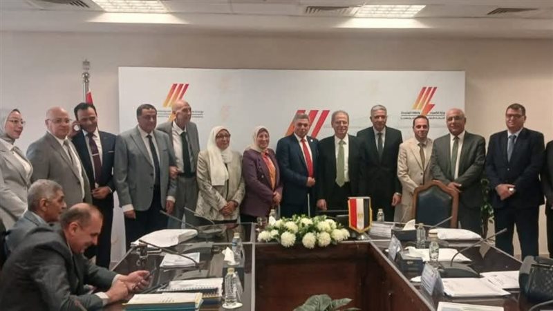 استثمارات 1.542 مليار جنيه بتوزيع كهرباء البحيرة وخطة لخفض الفقد إلى 16.4%