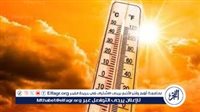 مركز معلومات تغير المناخ يحذر من تهديدات صيفية تهدد المحاصيل الزراعية والإنتاج الزراعي