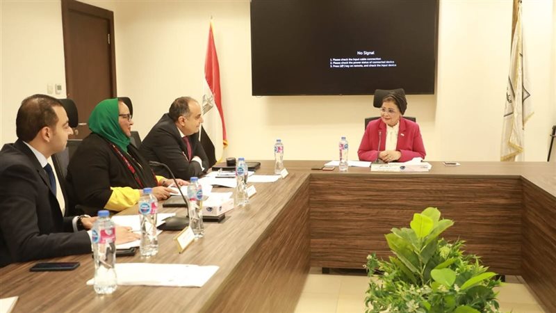 نائب وزير الصحة تترأس اجتماع اللجنة التنسيقية لتنفيذ الاستراتيجية القومية للسكان والتنمية