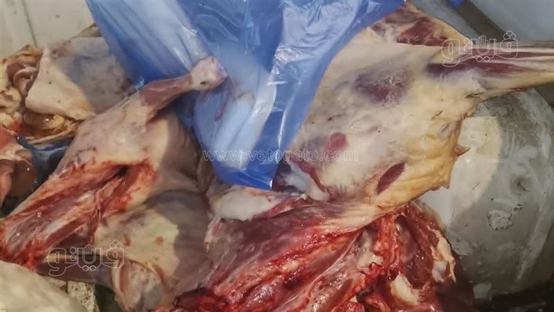 حملة تفتيشية بمطروح تضبط 137 كيلو لحوم غير مطابقة للاشتراطات الصحية