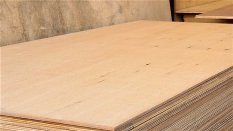 أسعار الأخشاب ومستلزمات النجارة في مصر اليوم الثلاثاء