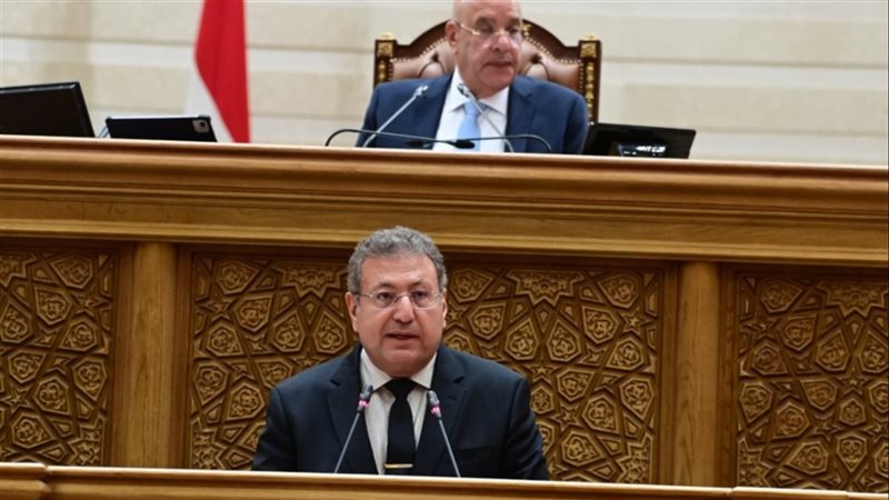 تقرير برلماني: اتفاقية الدول الثمانية تفتح أسواقًا جديدة أمام الصادرات المصرية