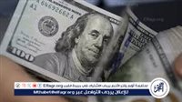 الدولار يرتفع أمام الجنيه المصري في بداية تعاملات الأربعاء.. ويتجاوز 52 جنيهًا للبيع بالبنك الأهلي
