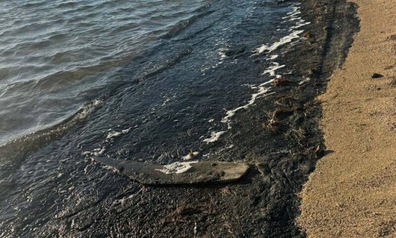 السواد يكسو شاطئاً مصرياً.. ومحافظة جنوب سيناء توضح السبب