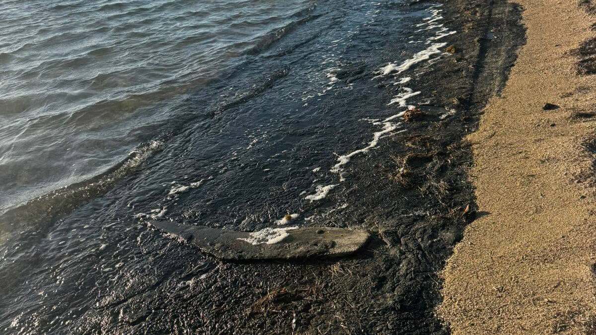 السواد يكسو شاطئاً مصرياً.. ومحافظة جنوب سيناء توضح السبب