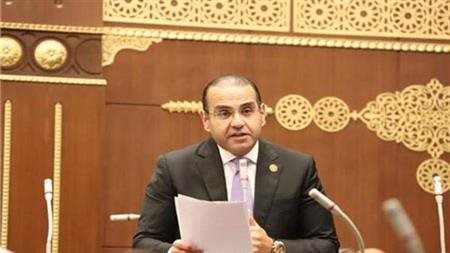 المنزلاوي: وقف ضريبة الأطيان خطوة مهمة..ونطالب بدعم الفلاح وتوسيع الزراعة التعاقدية