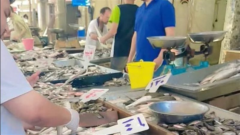حملات مكثفة على أسواق السمك في دمياط ورأس البر