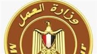 وزارة العمل تعلن عن 48 فرصة عمل بالخارج بمرتبات تصل إلى 1130 دولار شهريًا