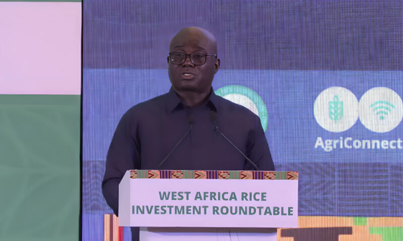Government to tie rice imports to local production in major policy shift