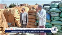 محافظ أسيوط: استلام 237 ألفًا و344 طنًا من القمح المحلي للصوامع