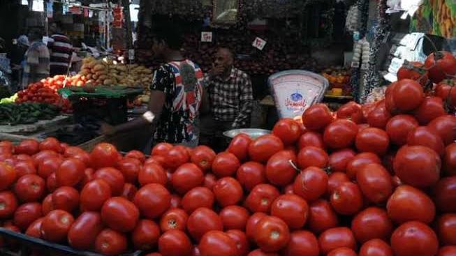 وصلت لكام؟.. ارتفاع في أسعار الطماطم اليوم الثلاثاء بالأسواق