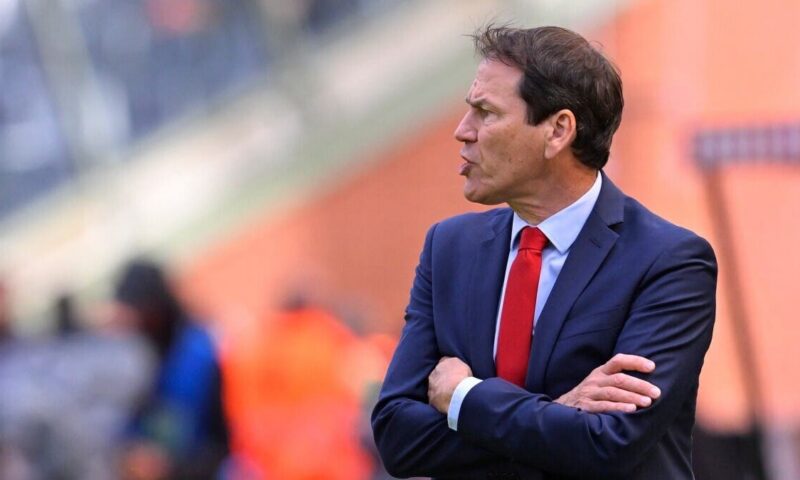 مدرب بلجيكا: نخوض مباراة مصر كأنها نهائي كأس العالم