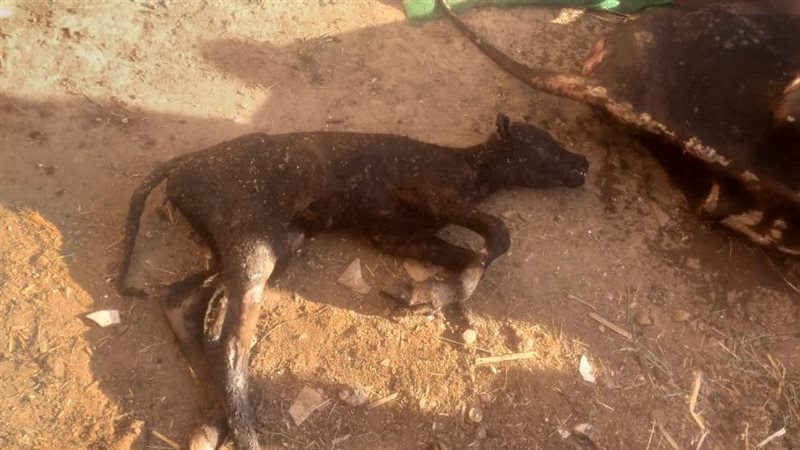 إخماد حريق اندلع بمنزل في قنا ومنع امتداده للمنازل المجاورة