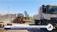 بتوجيهات محافظ قنا.. رفع 97 طنًا من مخلفات البناء في حملة مكبرة بقوص