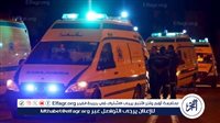 طعنة بسبب معاكسة شقيقة.. إصابة شاب في مشاجرة دامية بكفر شكر