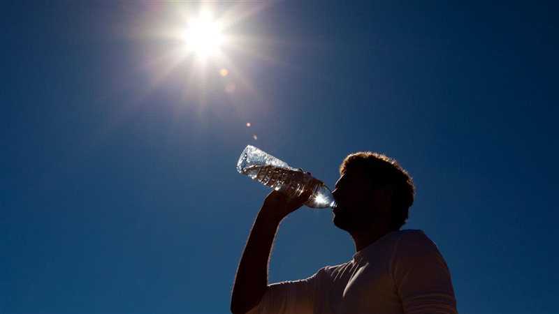موجة شديدة الحرارة لمدة أسبوعين، خبير يحذر من خطورة الحشرات وهبوب رياح تضر بالمحاصيل