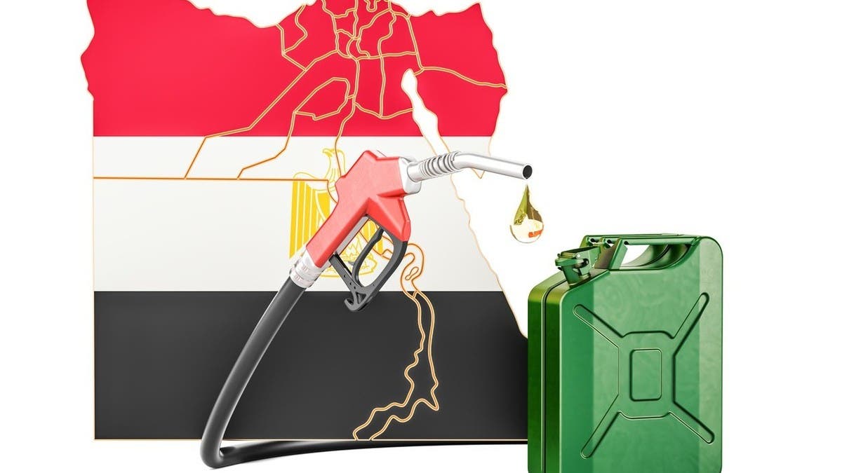 واردات مصر من الطاقة ترتفع 25.4% خلال مارس الماضي