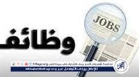 وزارة العمل تعلن توفير 825 فرصة عمل برواتب تصل إلى 15 ألف جنيه.. تعرف على التخصصات وشروط التقديم