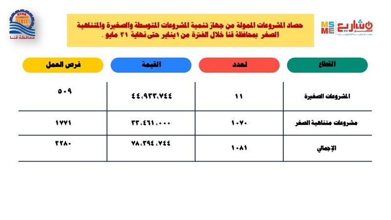 تمويل 1081 مشروعا للشباب بـ 78.3 مليون جنيه خلال 5 أشهر بقنا