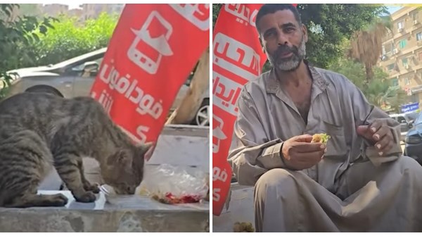عامل باليومية يتقاسم إفطاره مع قطة جائعة في موقف إنساني يخطف القلوب