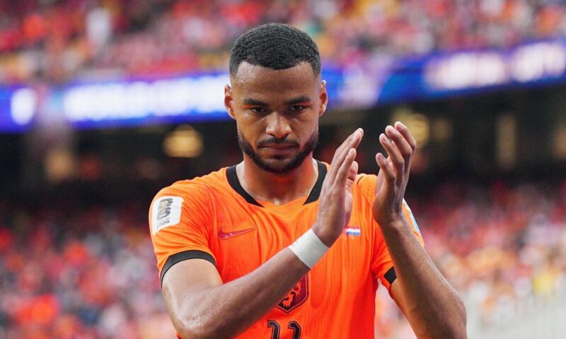 هولندا ترغب في الفوز على المغرب من أجل غاكبو