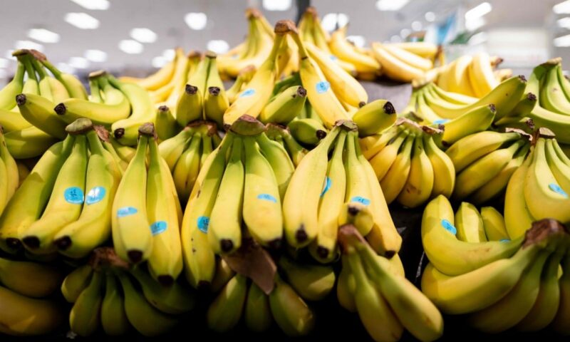 In Japan, ethylene shortage may cause bananas to ‘disappear’ from dining tables