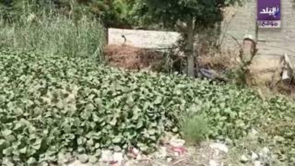 بعد حادث أسرة البدرشين.. أهالي نزلة الاشطر يستغيثون بمحافظ الجيزة: عيالنا بيموتوا أمام عنينا في ترعة شارع البحر.. ونحتاج تغطية 200 متر