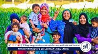 تكافل وكرامة يونيو 2026.. موعد صرف الدعم النقدي وخطوات الاستعلام بالرقم القومي