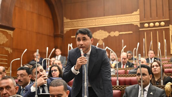 برلماني: مؤسسات المجتمع المدني شريك أساسي في دعم المنظومة الصحية وتوفير الرعاية للأطفال