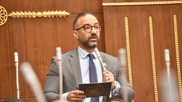 لتحقيق العدالة الأسرية… الحمامصي يقترح تطبيق عقوبات ضد معرقلي أحكام الرؤية