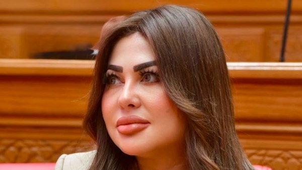مقترح برلماني لتنظيم مهنة الحراسة الخاصة ومكافحة انتحال الصفات الأمنية