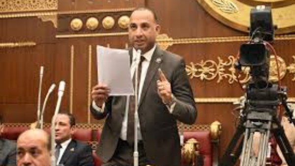 النائب عماد بركات يطالب بآلية رقابية دورية لتنفيذ خطة التنمية الاقتصادية والاجتماعية