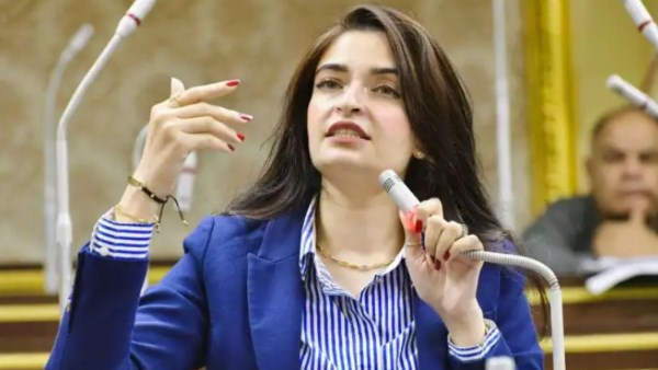 برلمانية تطالب بصرف مكافأة لطلاب الطب البيطري على سنة الامتياز