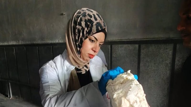 التحفظ على 17.3 طن دواجن ولحم مفروم وكبدة غير صالحة للاستخدام بالشرقية