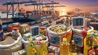 شعبة المستوردين: مصر تكثف تنسيقها الدولي لتأمين السلع الاستراتيجية وتسريع مركز الحبوب العالمي