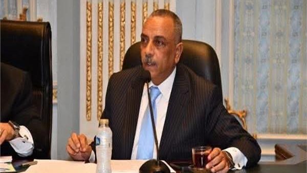 الطماوي: اللائحة التنفيذية لقانون لجوء الأجانب تعزز حماية اللاجئين وتدعم الحوكمة وتحفظ الأمن القومي